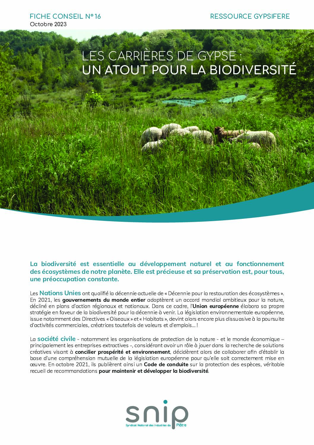 Fiche conseil n°16 – Les carrières de gypse : un atout pour la biodiversité